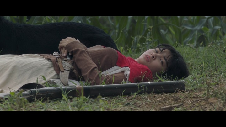 《猎鸟》:小女孩误杀一只鹰后,最后却揭开了一个匪夷