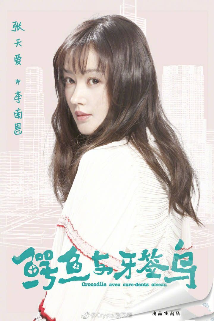 《鳄鱼与牙签鸟》陈柏霖,张天爱