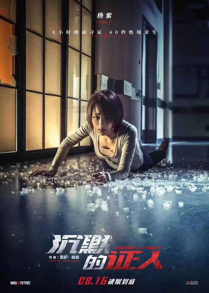 【免费观影】《沉默的证人》无法沉默到底!就是硬刚到底!