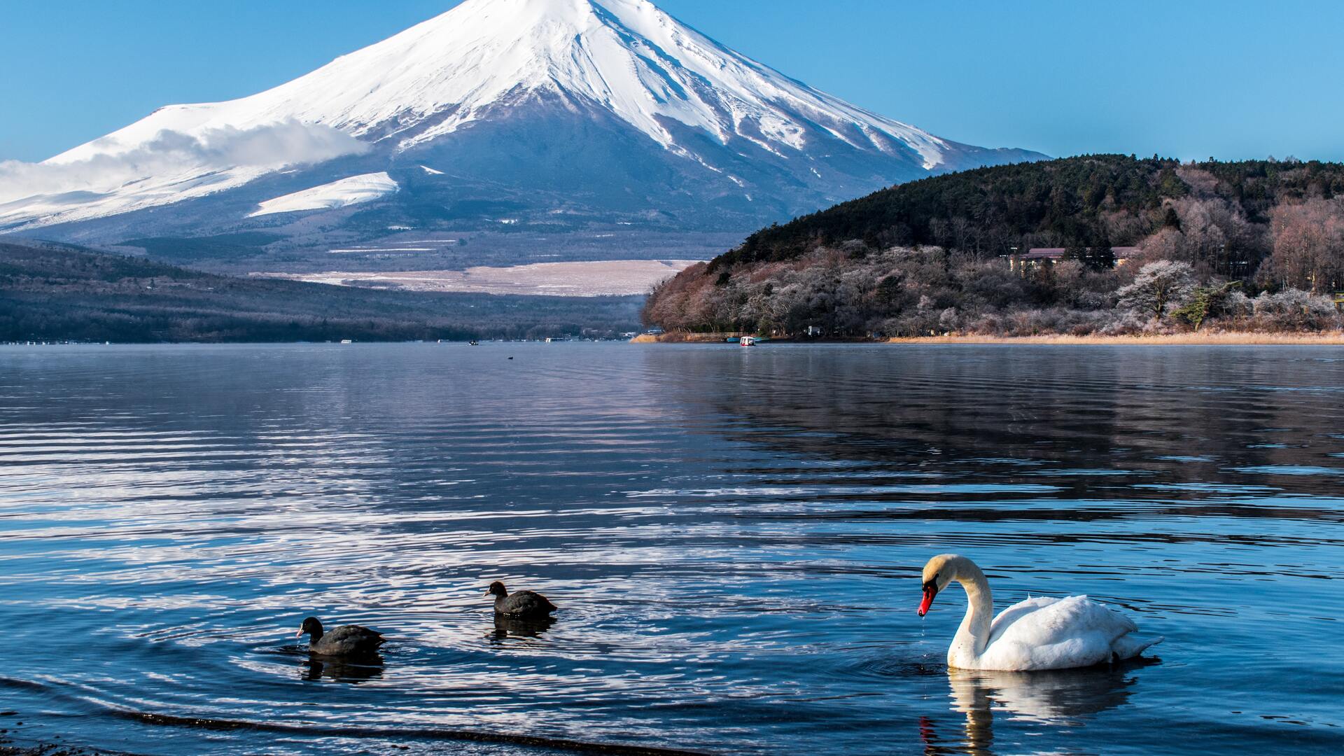 日本富士山自然风景唯美高清桌面壁纸 奥迪壁纸