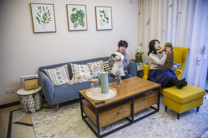 养四只猫,家里怎么装修?