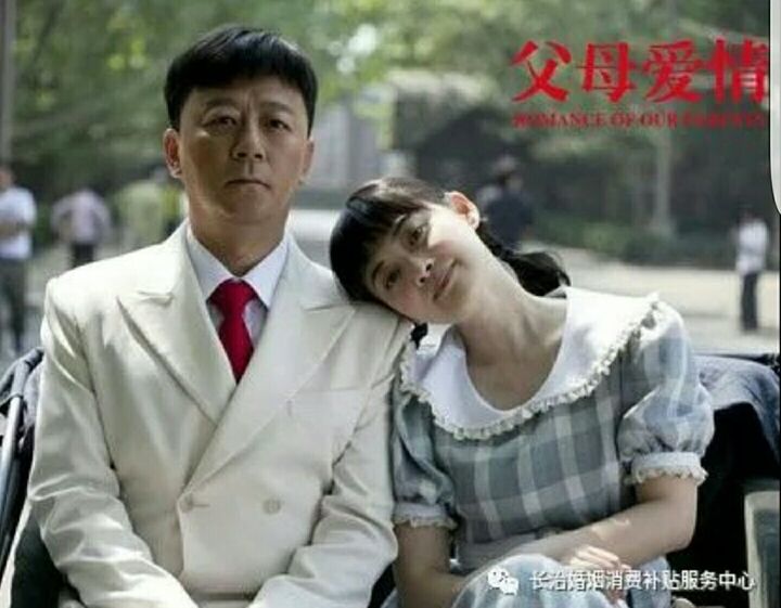 《父母爱情》的简介?