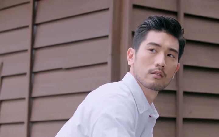 【godfrey高以翔】【广告x杂志x节目混剪】舔屏向