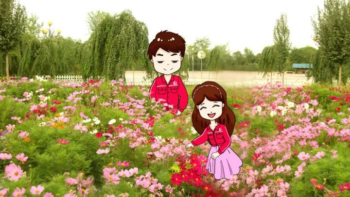 你是石油花,你是大漠温柔的浓缩,你是我最沉默的欢喜.