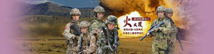 我是特种兵之火凤凰全集在线观看