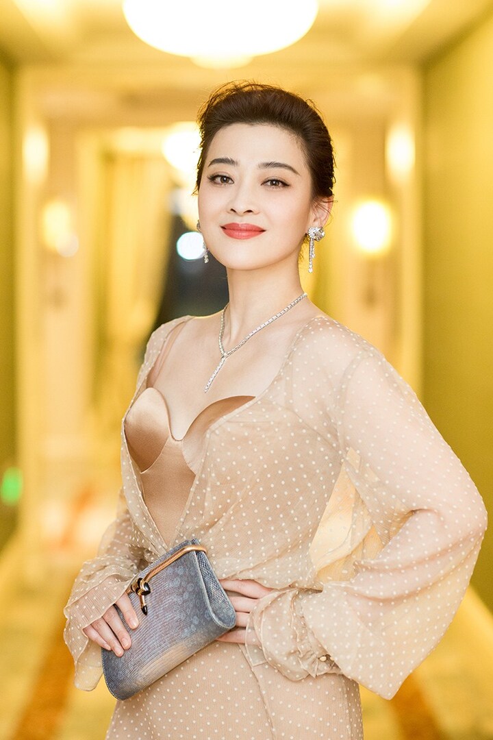 梅婷穿抹胸长裙出席晚宴与章子怡热聊