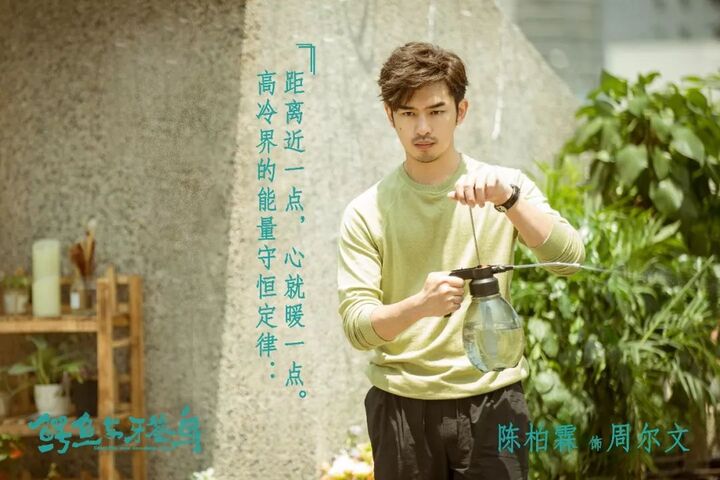 《鳄鱼与牙签鸟》众主演青春"心声"与你"初见"