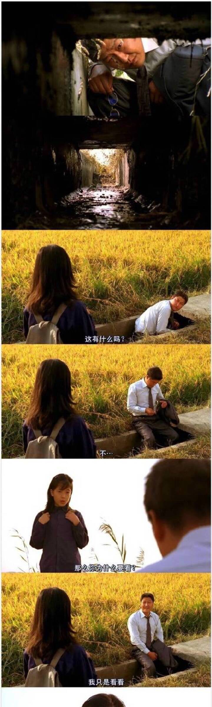 看到凶手照片立马想到《杀人回忆》的经典结尾,小女孩告诉饼叔有人之