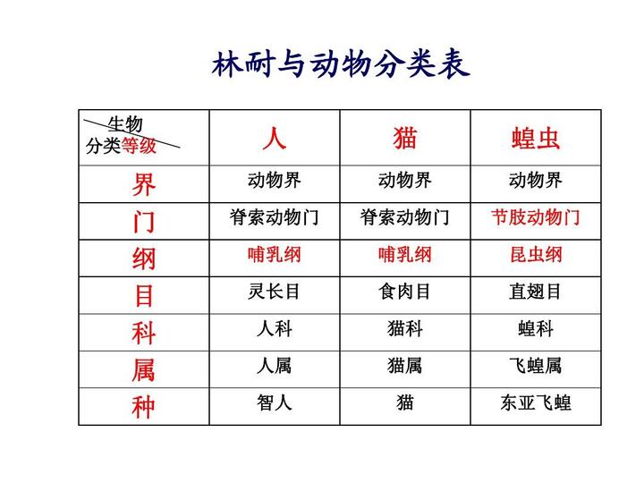 界门纲目科属种 手机壁纸 电脑壁纸 桌面壁纸 图客网