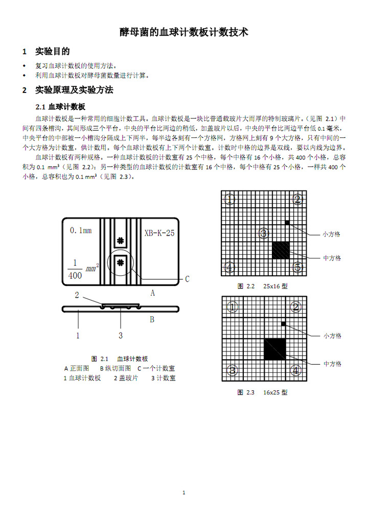 牛鲍计数板白细胞计数区域